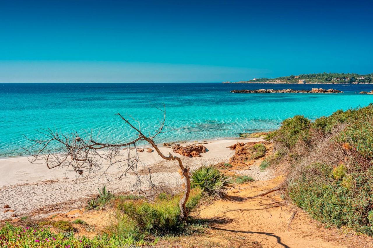 Ville In Resort Con Piscina A 2 Km Da Alghero Zewnętrze zdjęcie